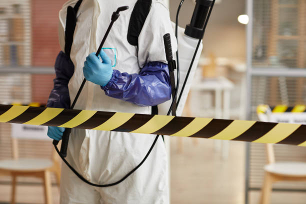 Professional Sewage Cleanup technician working in Woodbine, NJ